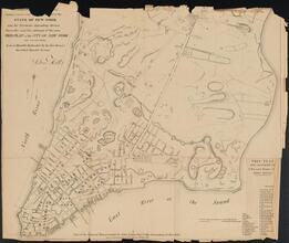 [Plan of the City of New York and Its Environs.]