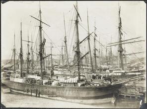[Clipper Ships.]