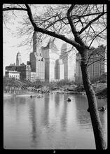 New York City views. Central Park view (FP2).