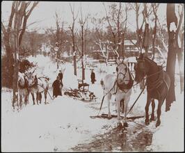 Snow Scenes, Central Park.