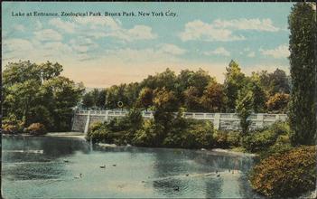 Lake at Entrance, Zoological Park, Bronx Park, New York City.