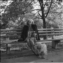 Men Are Such Wolves [Woman reading on a park bench.]