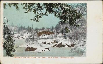 Bridge over Lake Central Park, New York. Winter Scene.