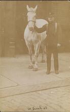 20 Truck 08 [Fireman with horse]
