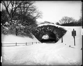 Central Park Snow Scene
