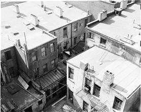 Roofs and Building Rears