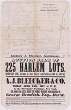 Auction Sale of 225 Harlem Lots by A. J. Bleecker & Co.