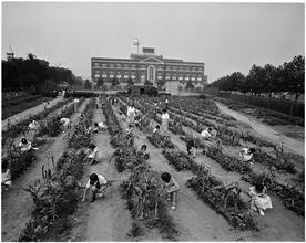 [Gardens.]
