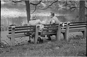 Men Are Such Wolves [Man talking to a woman in the park.]