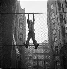 Shoe Shine Boy [Mickey climbing a fence.]