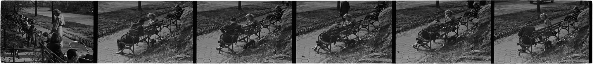 Men Are Such Wolves [Man talking to a woman in the park.]