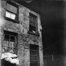 Tenement