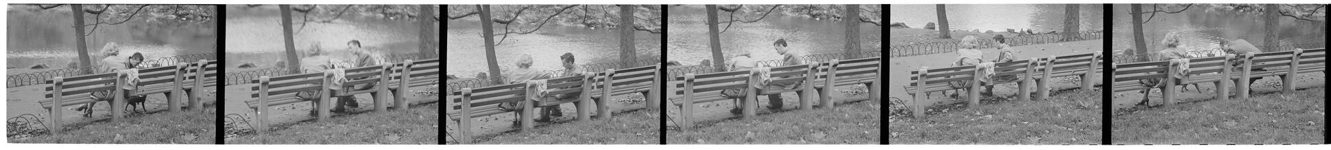 Men Are Such Wolves [Man talking to a woman in the park.]