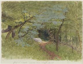 [Woods near Spuyten Duyvil]