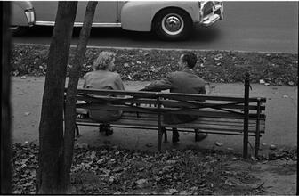 Men Are Such Wolves [Man talking to a woman in the park.]