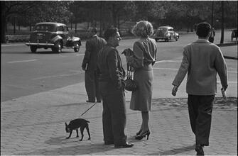 Men Are Such Wolves [Man talking to a woman in the park.]