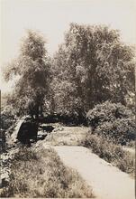 [Lane on top of the Old Croton Aqueduct embankment.]