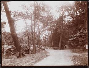 [Bronx Park.]