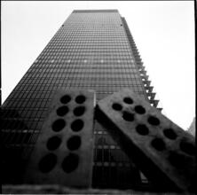 Park Avenue [Seagram Building.]