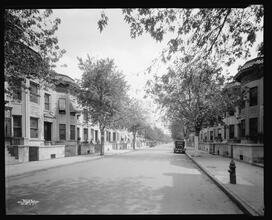 Maple Street between Rogers and Bedford Avenue. Limestone residences, general view.