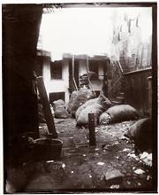 Bottle Alley, Baxter Street.