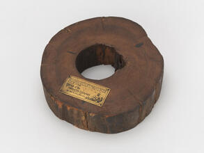 Section of wooden water main