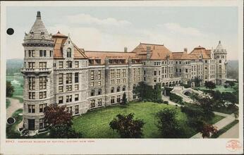 American Museum of Natural History, New York.