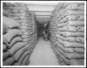 Franklin Street and Greenwich Street. B. Fischer and Co. Factory, rice storage.