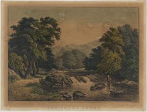 The Trout Brook.