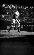 Sal Maglie