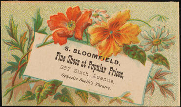 S. Bloomfield