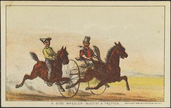 A Side Wheeler "Bustin" a Trotter.