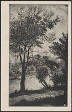 Near the Lake in Central Park, N.Y.C.