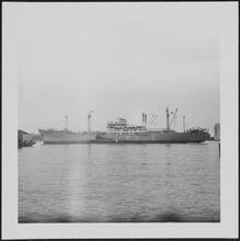 [Steamship.]