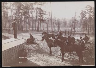 Park in the Pines, Aiken S.C.