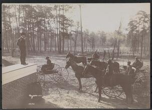Park in the Pines, Aiken S.C.