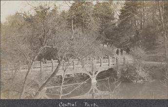 [Central Park]