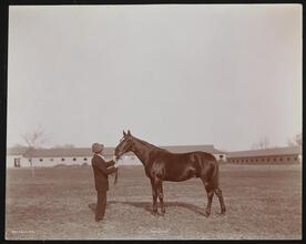 Racehorses, "Kennebunk."