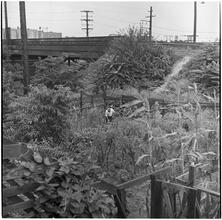 [Gardens.]