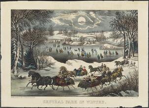 Central Park in Winter.