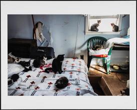 The Forgotten Island, Staten Island