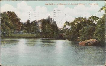 Bridge to Museum of Natural History, New York.