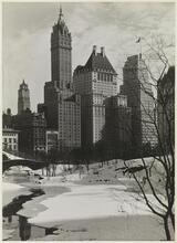 [Central Park and 5th Ave. at 59th St.]