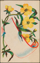 No. 7 Floral Series in Six Designs