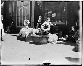 Stale Bread Vendor, Mulberry Bend.