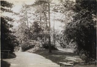 [Two views of Central Park.]