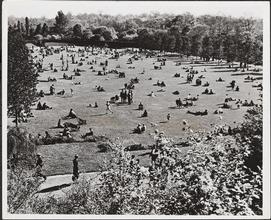 Prospect Park, overhead view
