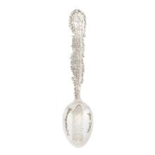 Souvenir Spoon
