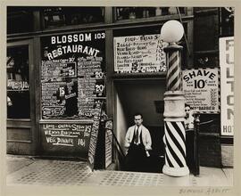 Blossom Restaurant