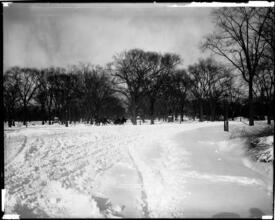 Central Park Snow Scene